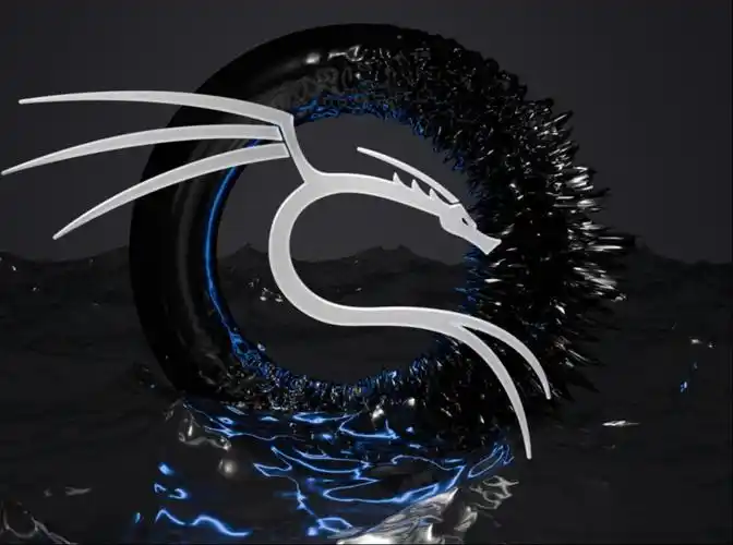 Kali Linux安全工具完全指南：从信息收集到漏洞利用的全面解析